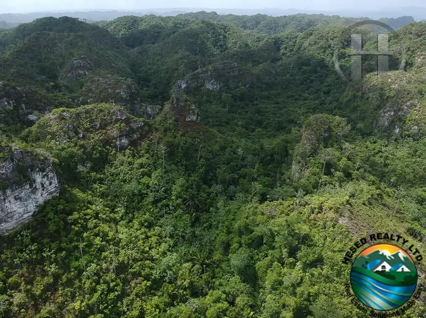 100-Acre Jungle Property with Limestone Caves and Creek, Frank's Eddy, Cayo