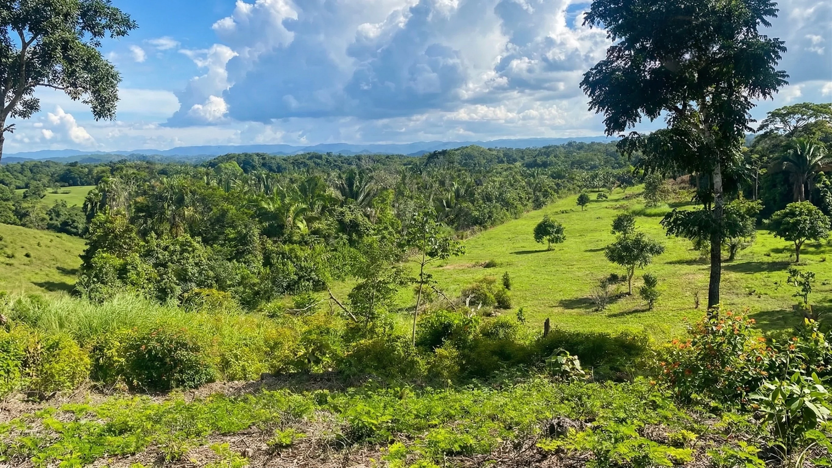 30-Acre Hilltop Farm with Mountain Views in Camalote, Cayo