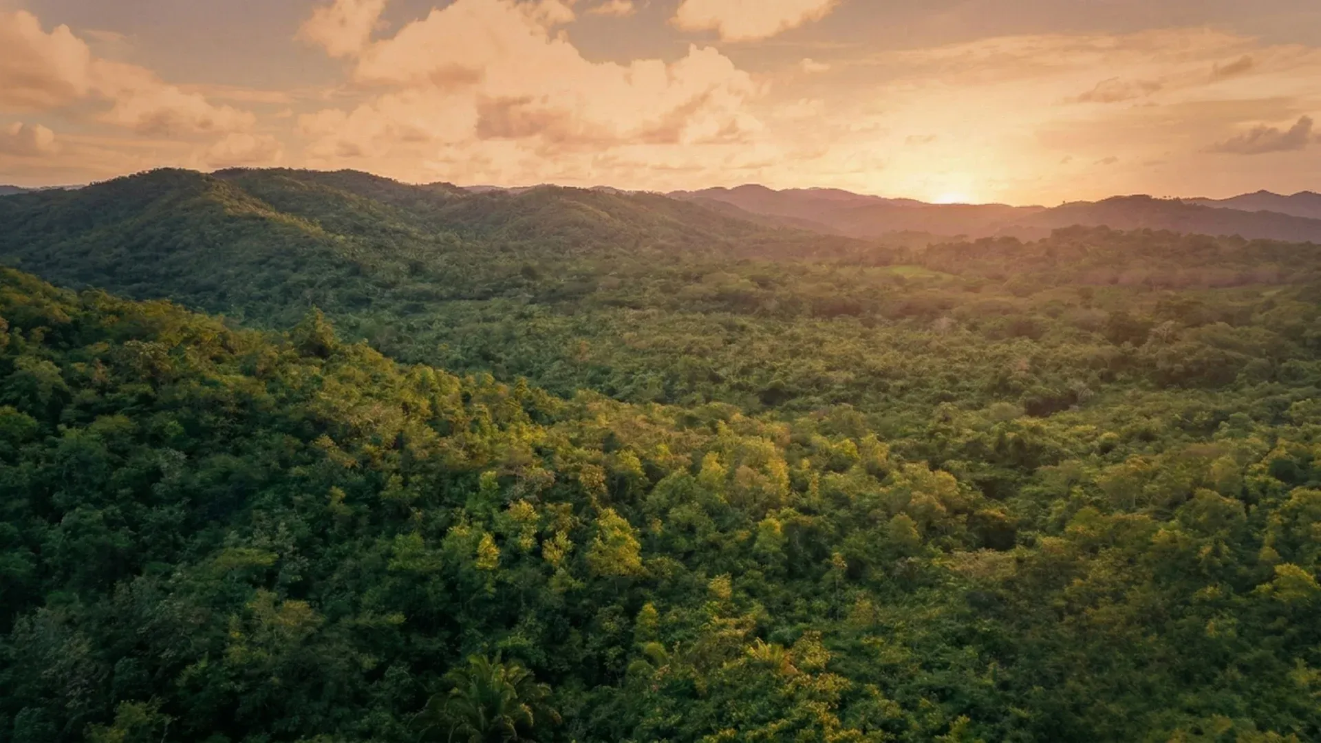 Cayo District river valley landscape in Western Belize